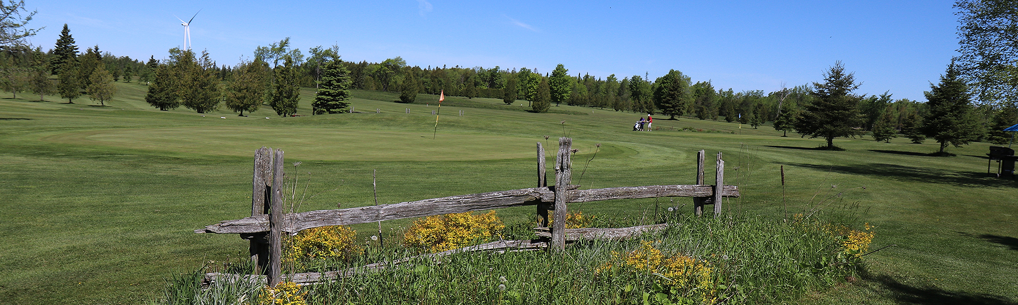 Golfers on Course