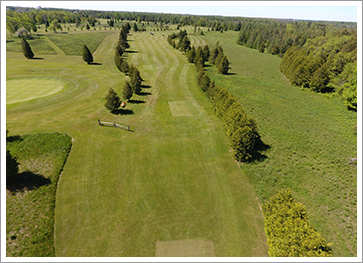 Fairway