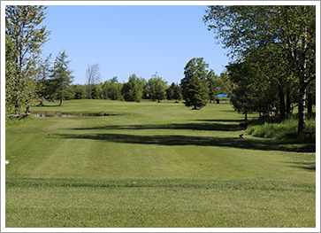 Greenery on Course