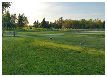View of Greens and Course